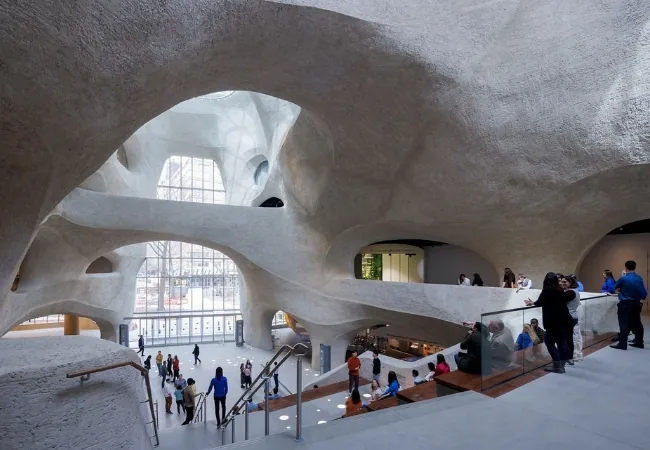 American Museum Of Natural History