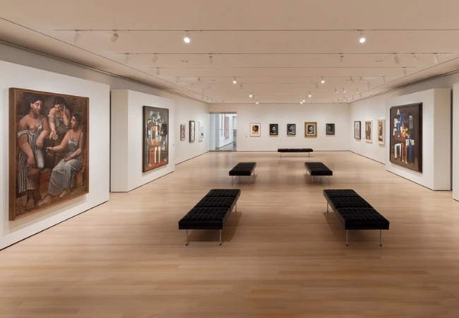 Museum Of Modern Art Moma New York