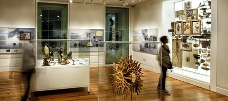 Staten Island Museum Nyc